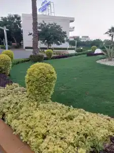 Pickalbatros Royal Grand Sharm - Adults Friendly 16 Years Plus - 56