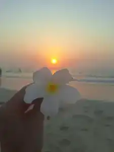 Red Castle - Managed by Aoudi Consultants - 30