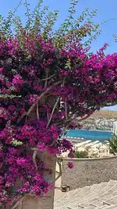 Kefaluka Resort Ultra All Inclusive - 35