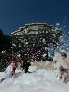 Dobedan World Palace ''Ex Brand Alva Donna World Palace '' - 37