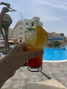 Seagull Beach Resort - Families and Couples Only - 46