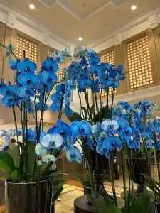 Swissotel the Bosphorus Istanbul - 46