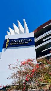 Calyptus Kirman Premium - Ultra All Inclusive - 8