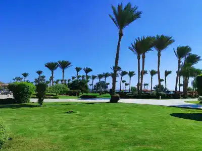 Coral Sea Waterworld Sharm El Sheikh - 51