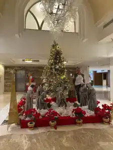 Xperience Kiroseiz Parkland - 12