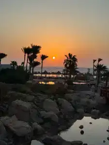 Parrotel Lagoon Waterpark Resort - 84