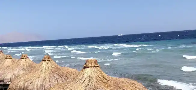 Sunrise Remal Resort - 94