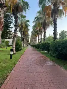 Sunis Elita Beach Resort & SPA - 73