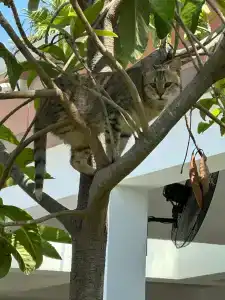 Crystal Family Resort & Spa - Ultimate All Inclusive - 84