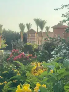 Parrotel Lagoon Waterpark Resort - 30