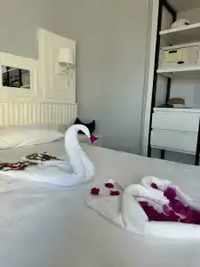 Loxia Comfort Club Side - 16