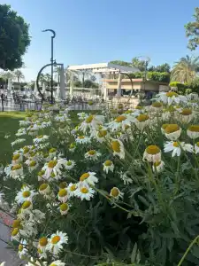 Lucida Beach - All Inclusive - 89