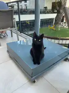 Sundia Exclusive By Liberty Fethiye - 66