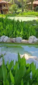 Aquaworld Belek - 49