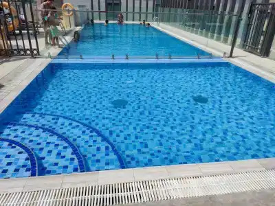 Adagio Premium The Palm - 45