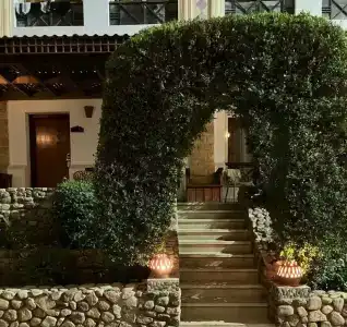 Falcon Naama Star - 8