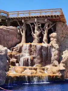 Sheraton Sharm, Resort, Villas & Spa - 24