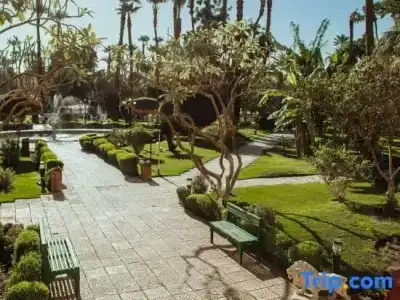 Pavillon Winter Luxor - 27