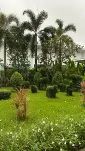 The Palmery Resort - SHA Extra Plus - 76