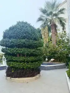 Side Resort Annex - 23