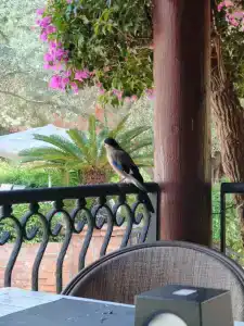 Suncity - Beach Club - 58