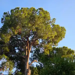 Gloria Verde Resort - Kids Concept - 75