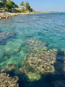 Armas Bella Sun - 33