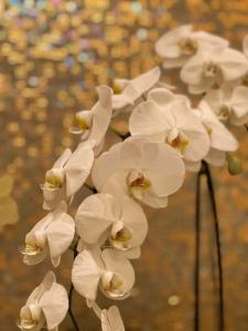 Emirates Palace Mandarin Oriental, Abu Dhabi - 89