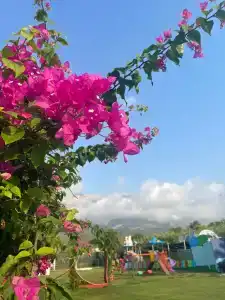 Armas Beach - 16