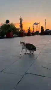 Ramada By Wyndham Cappadocia - 42