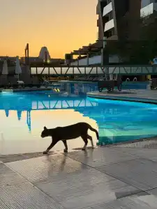 Terrace Elite Resort Ultra All Inclusive - 13