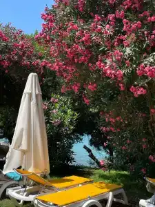 DoubleTree by Hilton Bodrum Isıl Club Resort - ULTRA ALL INCLUSIVE - 17