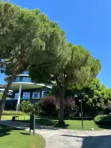 Voyage Belek Golf & Spa - 78