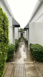 The Palmery Resort - SHA Extra Plus - 47