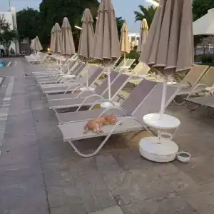 Royal Asarlik Beach - 39