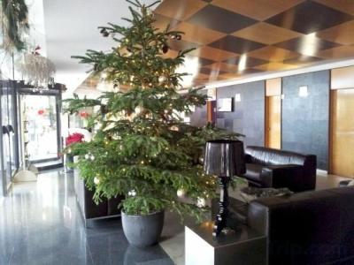 Best Western Plus Alfa Aeropuerto - 27