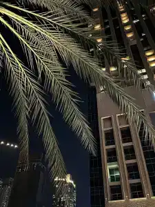 Al Habtoor Grand Resort, Autograph Collection By Marriott - 65