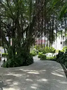 Sheraton Samui Resort - 89