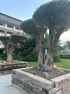 DoubleTree By Hilton Antalya Kemer - 46