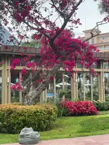 Akka Antedon - Premium Ultra All Inclusive - 20