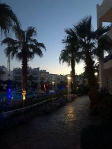 Sharm Bride Resort Aqua & SPA - 55