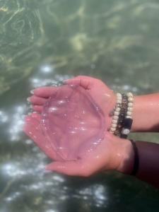 Labranda Club Makadi - 91