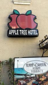 Apple Tree - 9