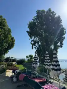 Royal Apollonia by Louiss - 66