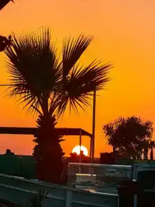 Selectum For Two Side - 85