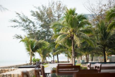 Siambeach Resort - 79