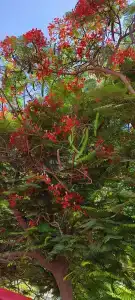 Khalidiya Palace Rayhaan by Rotana, Abu Dhabi - 39