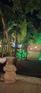 Mediterra Art Antalya - 53