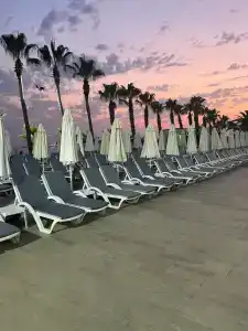 Botanik Platinum - 96