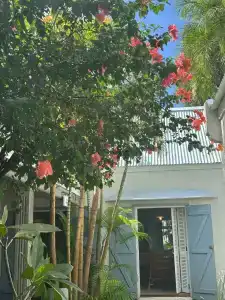 Veranda Grand Baie & Spa - 44